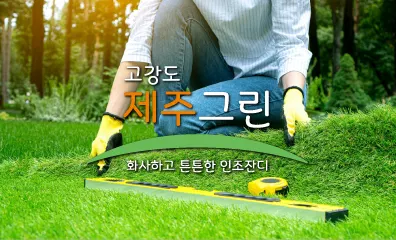 비오케이 제주지점 조경업체 · 제주 제주시
