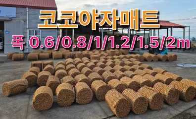 비오케이 제주지점 조경업체 · 제주 제주시