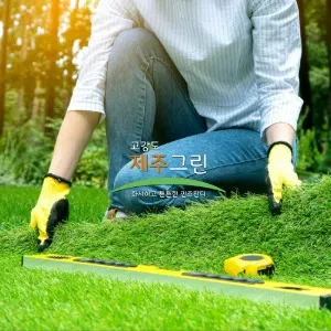 비오케이 제주지점 조경업체 · 제주 제주시
