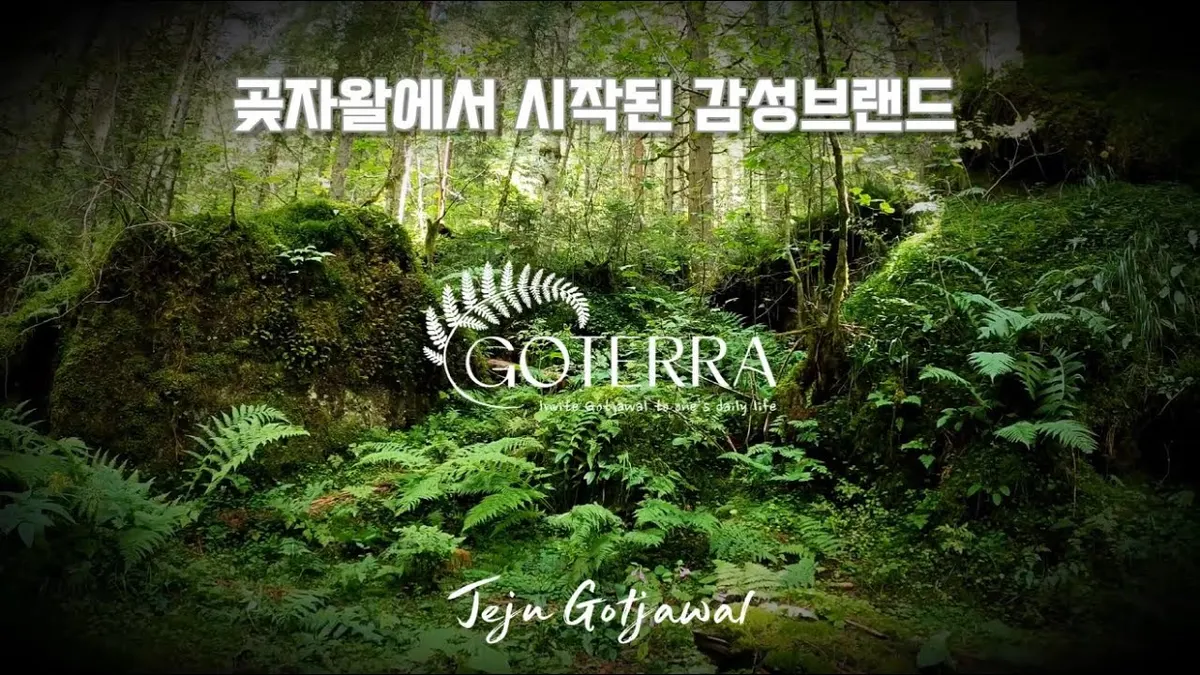 고테라 조경업체 · 제주 제주시