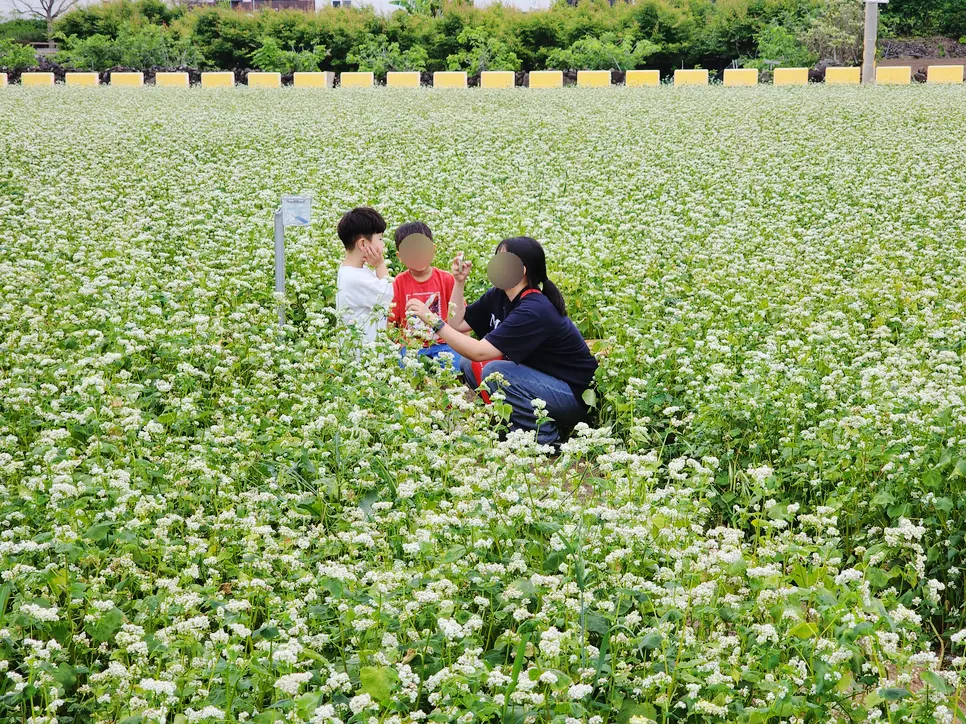 위드지스 제주전시장 마감공사업체 · 제주 제주시