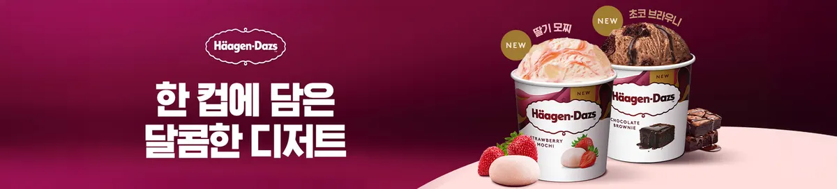 하겐다즈 제주신화월드점 마감공사업체 · 제주 서귀포시