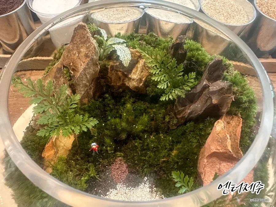보림조경 조경업체 · 제주 제주
