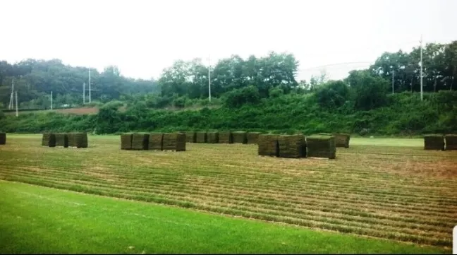 제주잔디 조경업체 · 제주 제주시